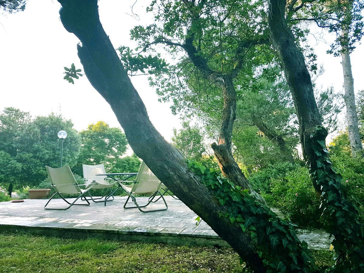 Villa Cenzina Selva Di Fasano Εξωτερικό φωτογραφία
