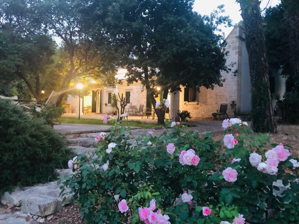 Villa Cenzina Selva Di Fasano Εξωτερικό φωτογραφία